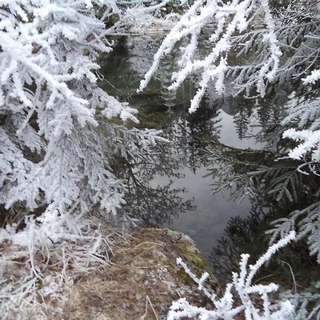 Garconniere Pachler شقة غوساو