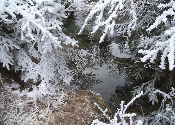 Garconniere Pachler Daire Gosau