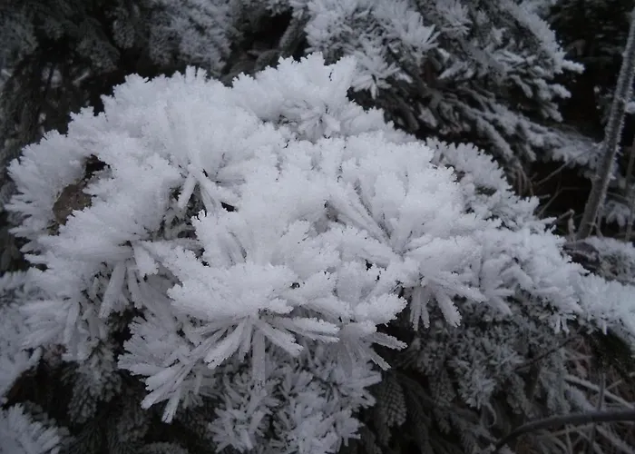 Garconniere Pachler Gosau